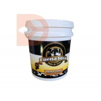 DULCE DE LECHE BUENA IDEA BALDE X10 KG
